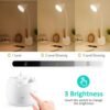 LED Desk Lamp with Pen Holder Modern Study Light for Home & Office